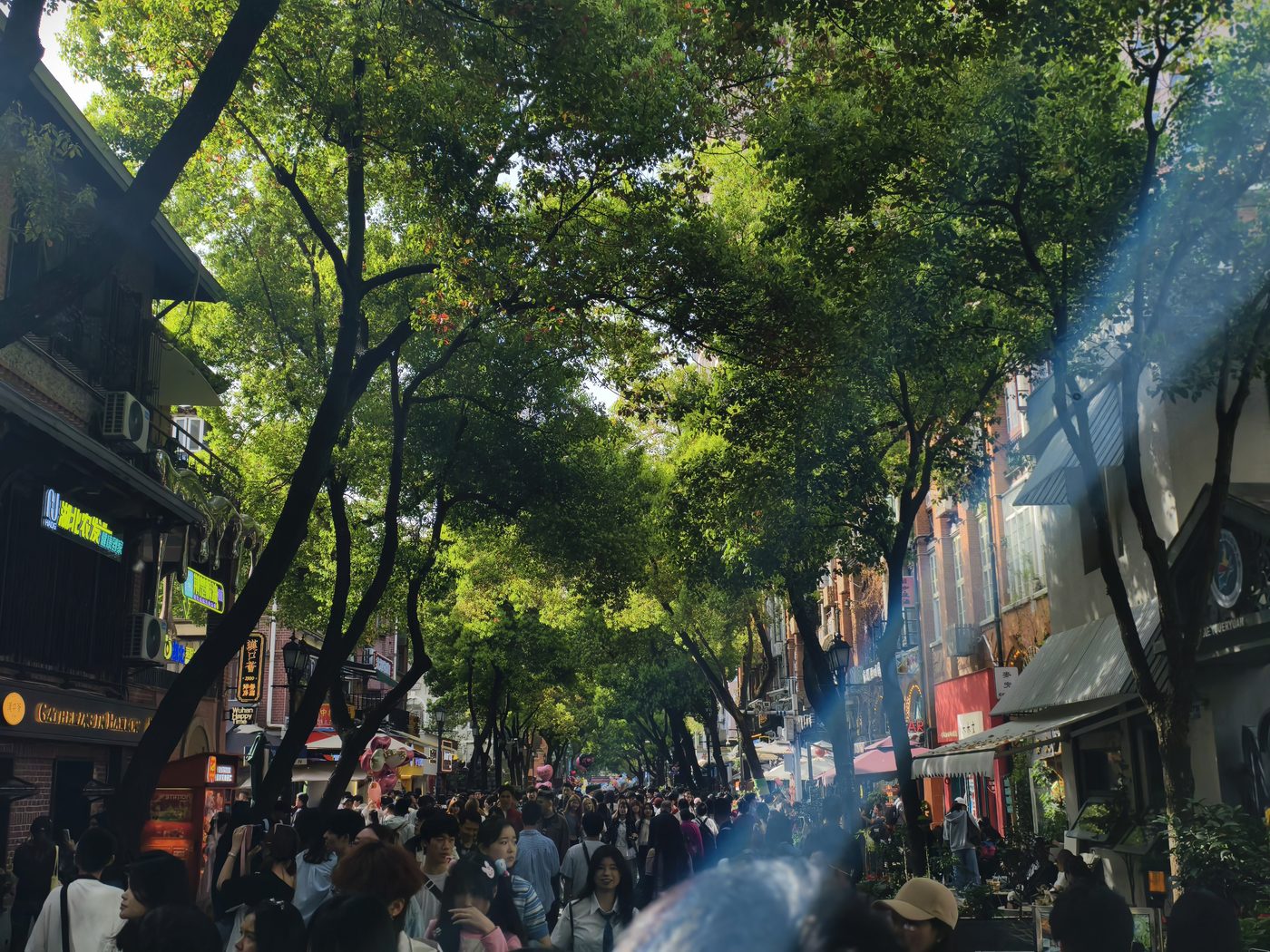 武汉街边树荫