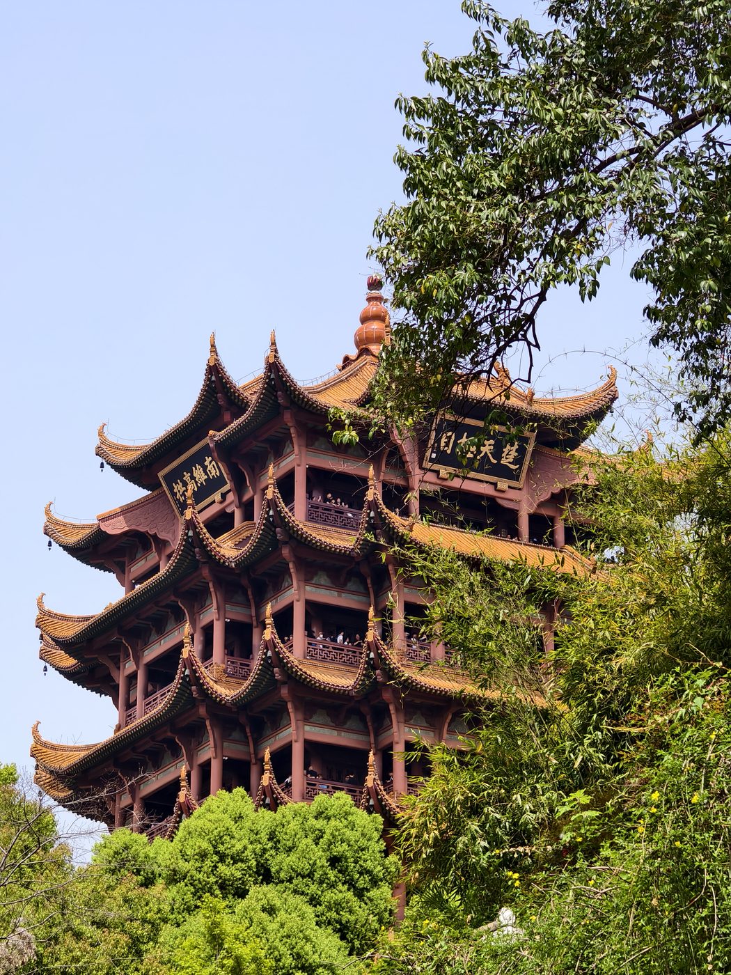 树影中的黄鹤楼